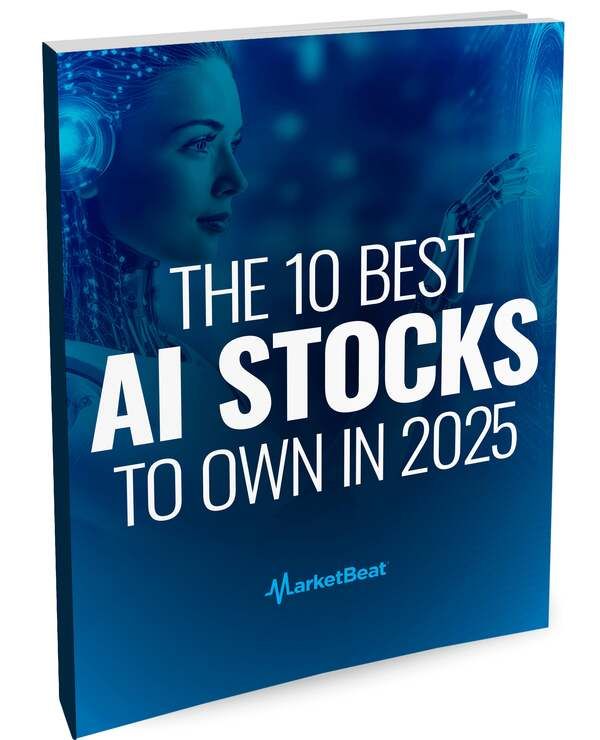 The 10 Best Stocks to Own in 2025